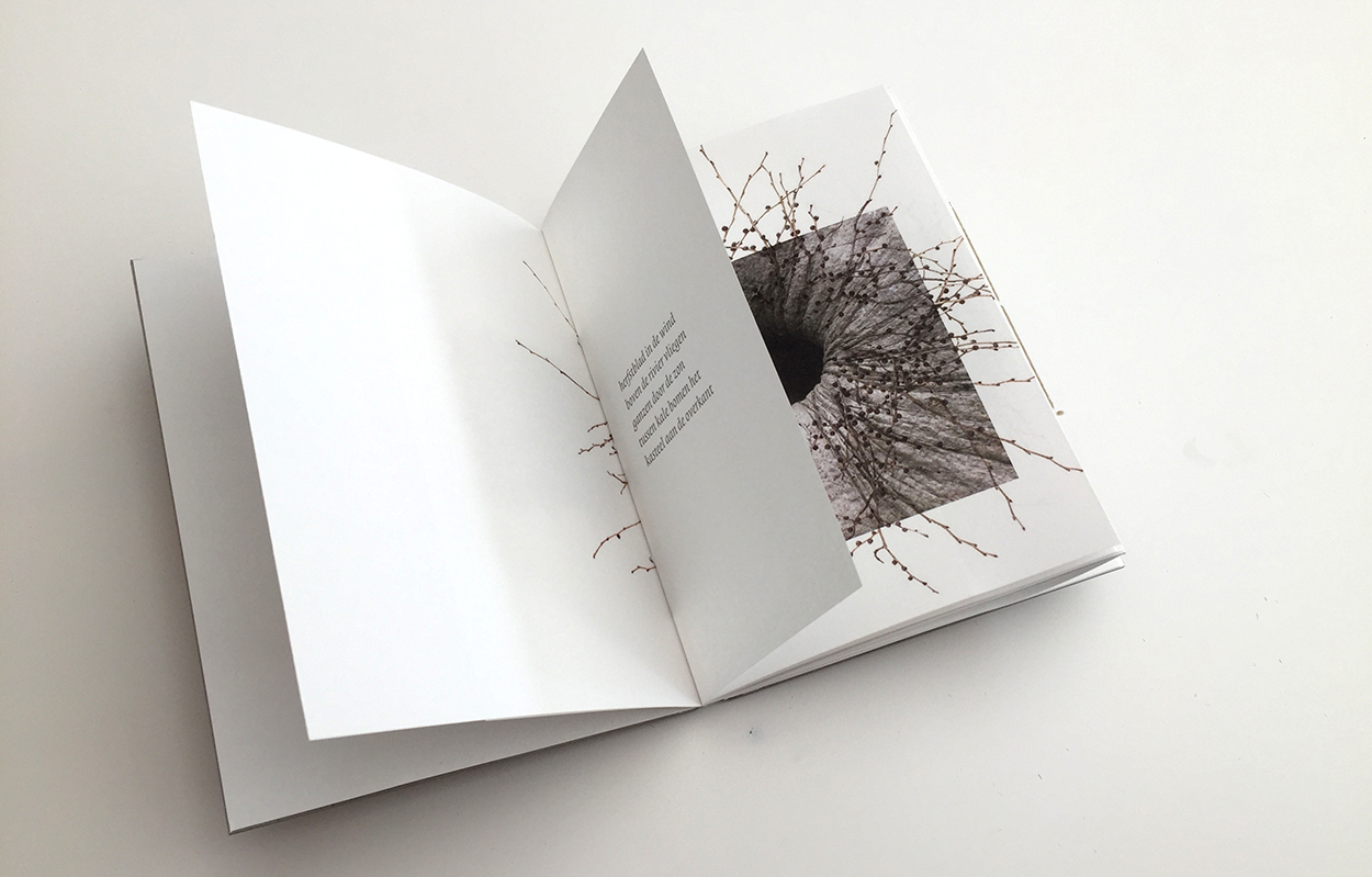 Eigen publicatie > In[te]gratie